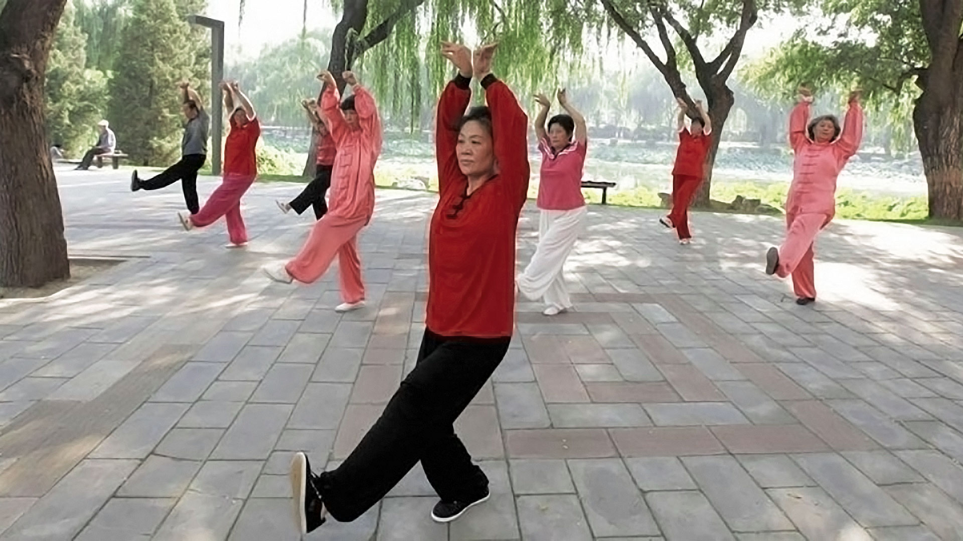 Cours de Qi gong Université dans la ville de Beausoleil